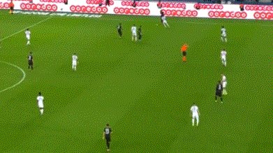 907.gif